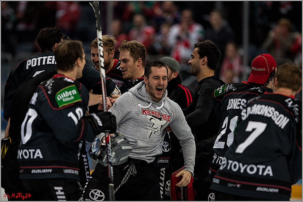 DEL, Koelner Haie - Augsburger Panther, 13.01.2017